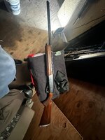 IMG_6538.jpeg