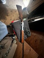 IMG_6539.jpeg