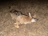 IMG_6767.jpeg
