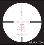 V1000.JPG