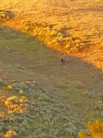 20250901_064540.jpg