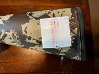 IMG_6955.jpeg