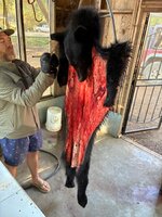 IMG_0243.jpeg