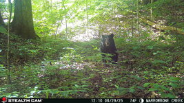 IMG_4733.jpeg