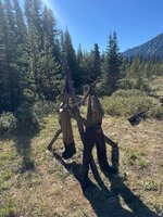 IMG_5736.jpeg