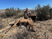 February Elk.jpg