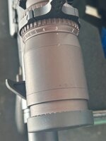 IMG_1737.jpeg