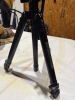 IMG_6456.jpeg