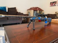 IMG_9250.jpeg