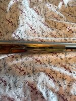 IMG_2082.jpeg