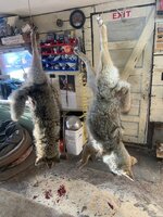 IMG_4219.jpeg