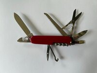 sak2.jpg