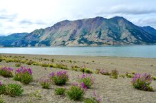 DSC_0610 2.JPG