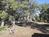 IMG_1435.jpg