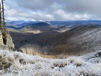 IMG_2981.jpeg