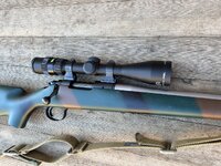 IMG_5773.jpeg