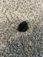 IMG_9975.jpeg