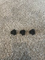 IMG_9979.jpeg