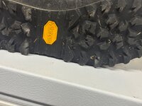 IMG_2918.jpeg