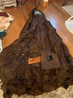IMG_6965.jpeg