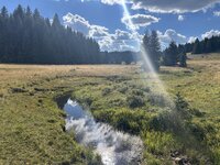 IMG_3538.jpeg