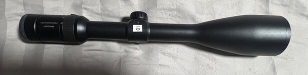 IMG_7110.jpeg