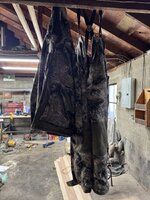 IMG_2207.jpeg