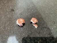 IMG_0081.jpeg