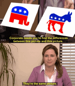 they're-the-same-picture-democrats.gif