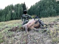 IMG_5788.JPEG