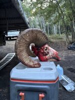IMG_3710.jpeg