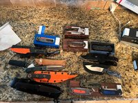 IMG_6398.jpeg