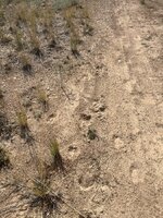 IMG_6666.jpeg
