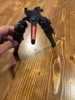 IMG_1008.jpeg