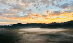 IMG_1831.jpeg