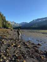 IMG_2909.jpeg