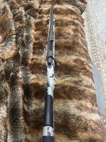 IMG_9364.jpeg