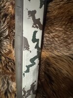 IMG_9366.jpeg