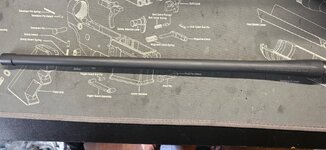 Tikka 300WM 1.jpeg
