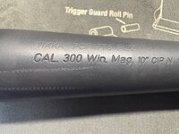 Tikka 300WM 5.jpeg