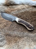 IMG_9743.jpeg