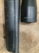 IMG_1687.jpeg