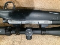 IMG_1689.jpeg