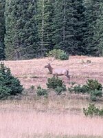 PXL_20250902_014815146.jpg
