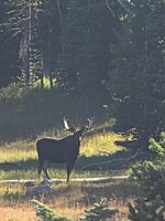 PXL_20250831_221857410.jpg