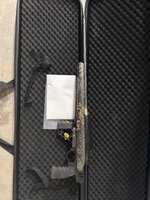 IMG_3541.jpeg