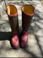 IMG_2397.jpeg
