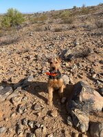 IMG_0979.jpeg