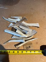 IMG_7545.jpeg
