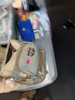 IMG_6124.jpeg